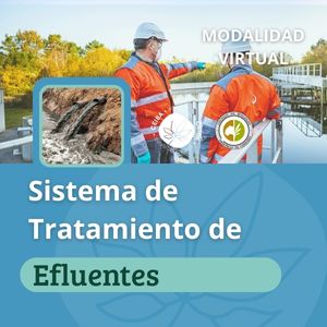 Sistemas de Tratamiento de Efluentes