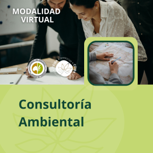 Consultoría Ambiental