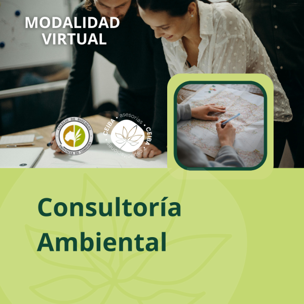 Consultoría Ambiental