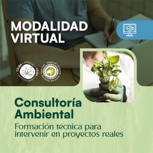 Consultoría Ambiental