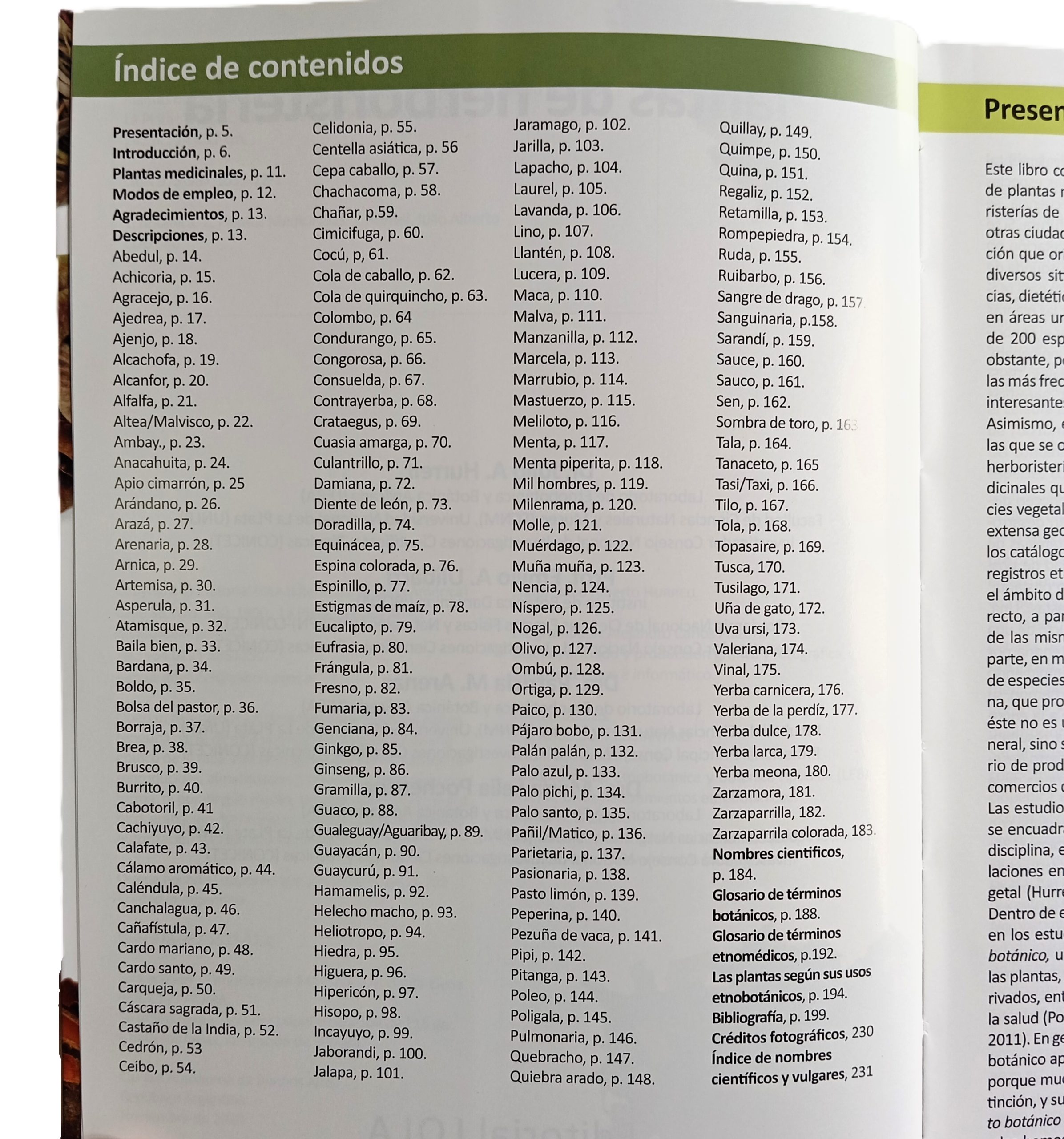 Plantas De Herboristería - Imagen 2