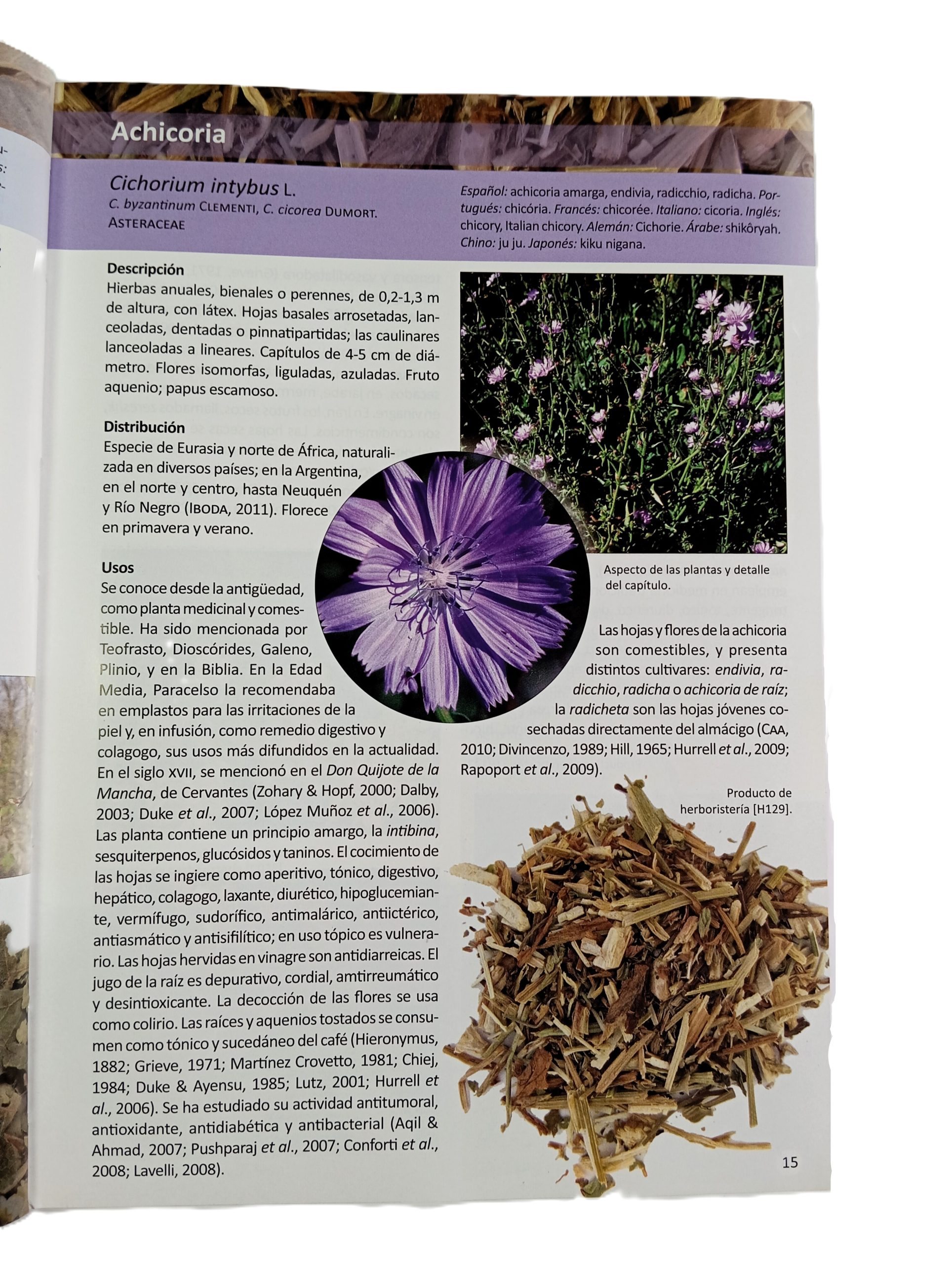 Plantas De Herboristería - Imagen 3