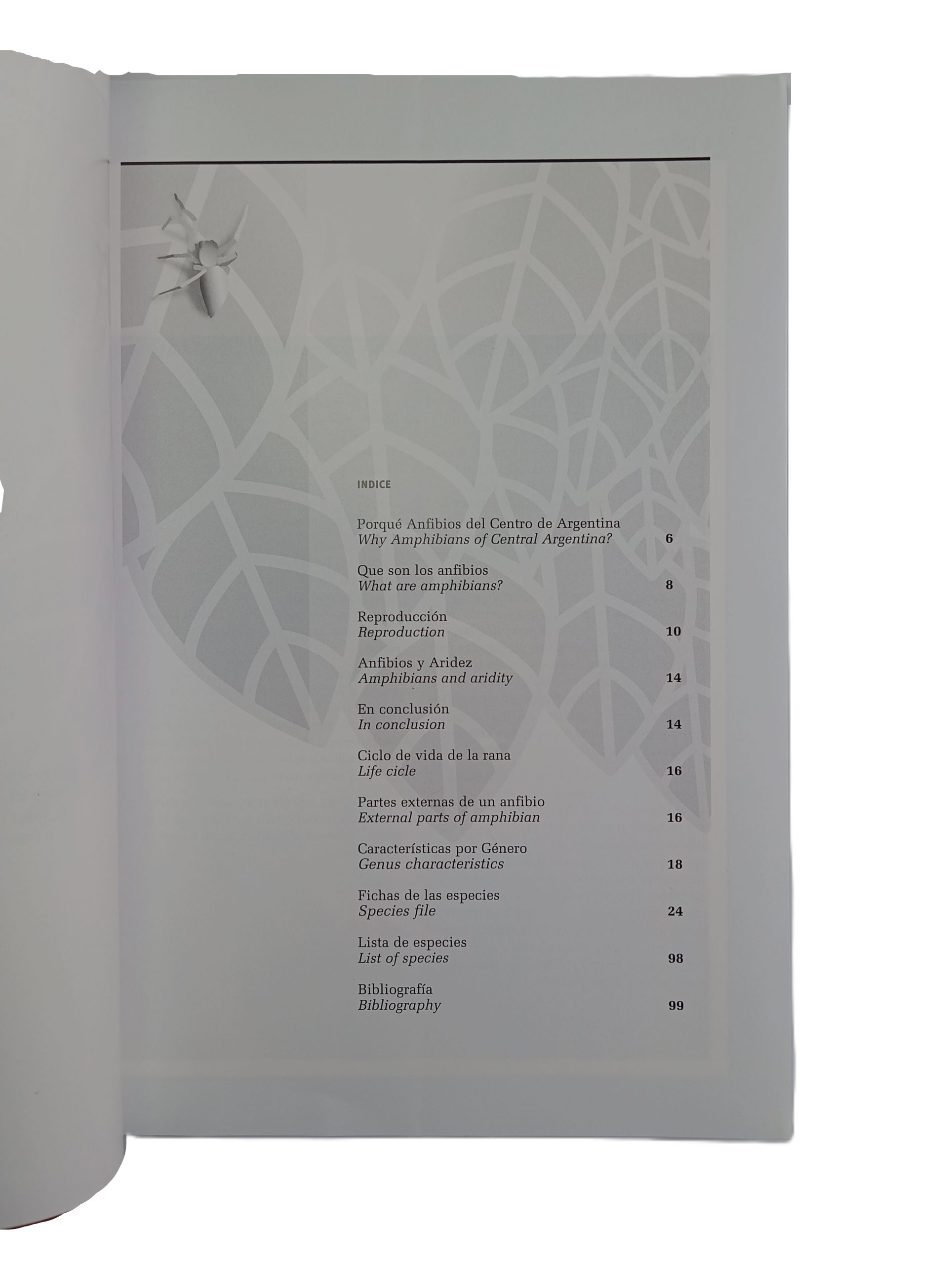 Anfibios del Centro de Argentina - Imagen 2
