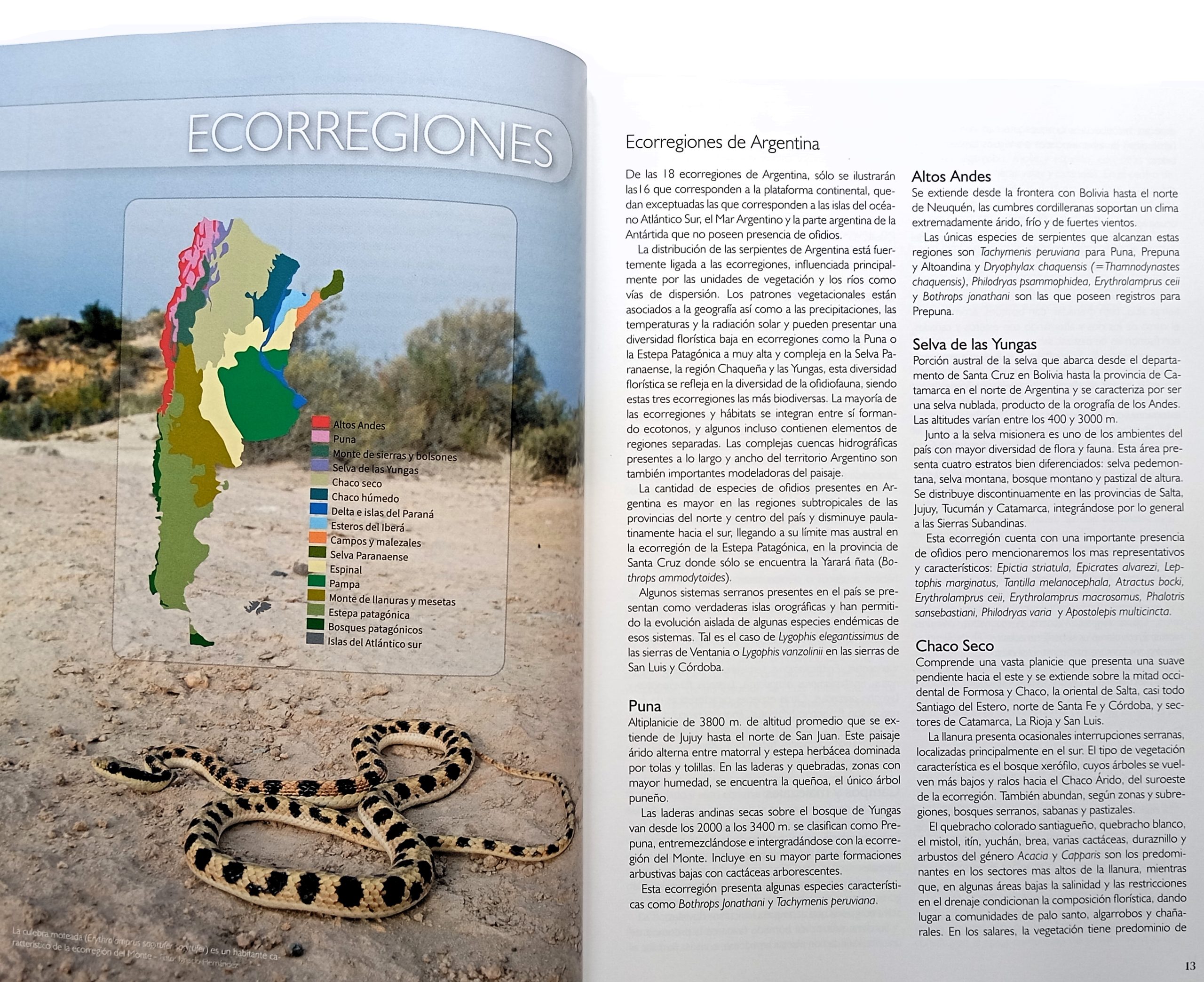Serpientes De La Argentina - Guía Completa - Imagen 4