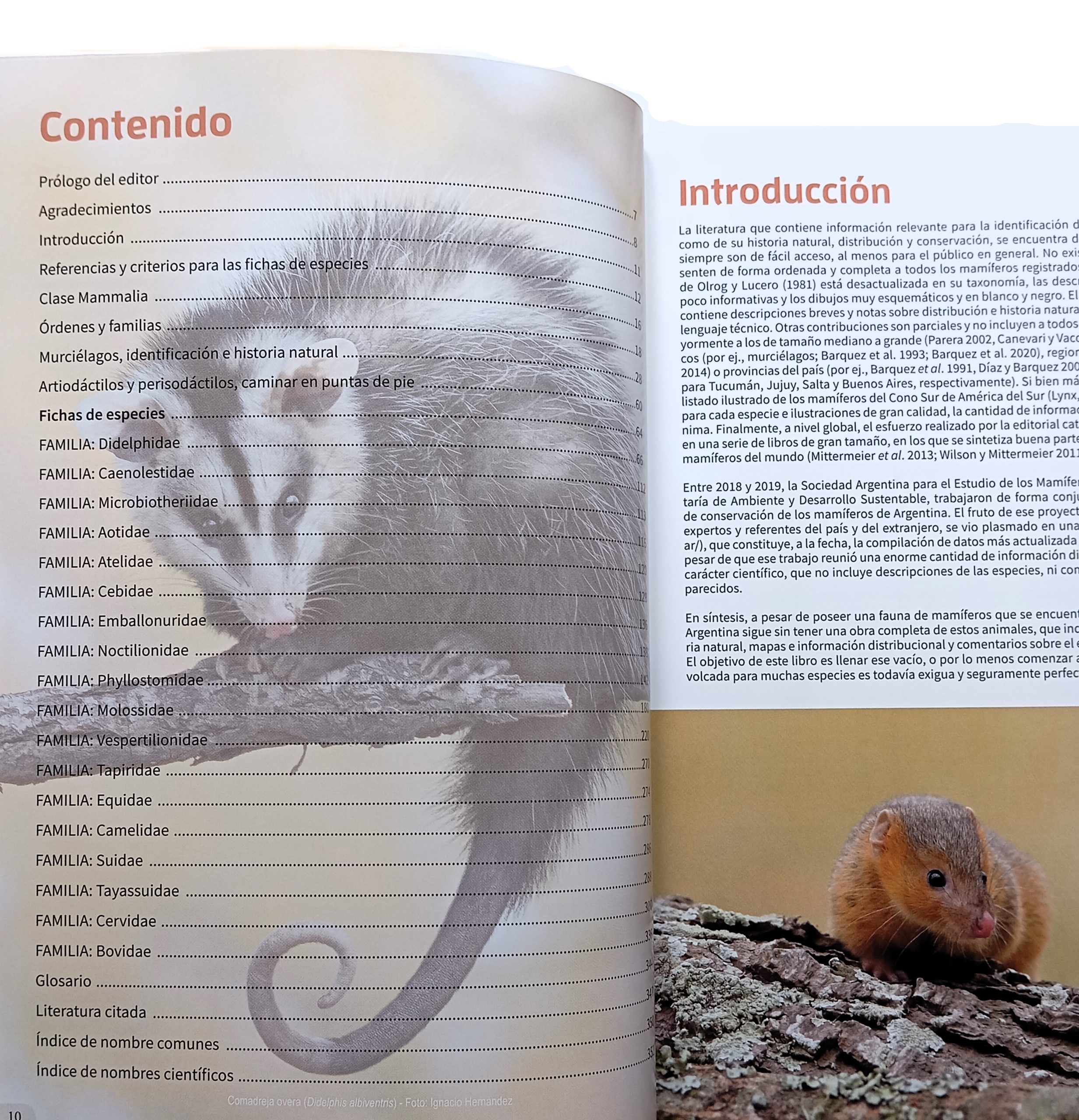 Mamíferos De Argentina: Tomo 1 - Imagen 2