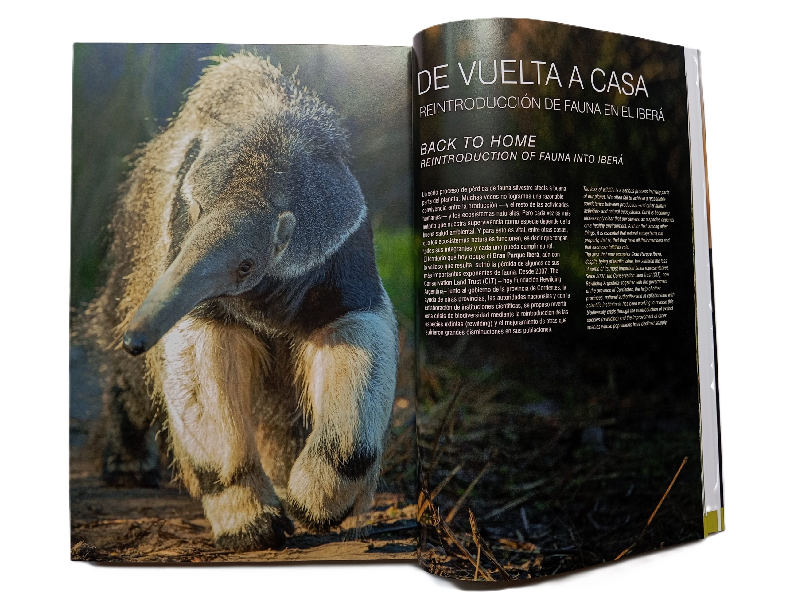 Aves de Iberá (NUEVA EDICION 2022) - Imagen 4