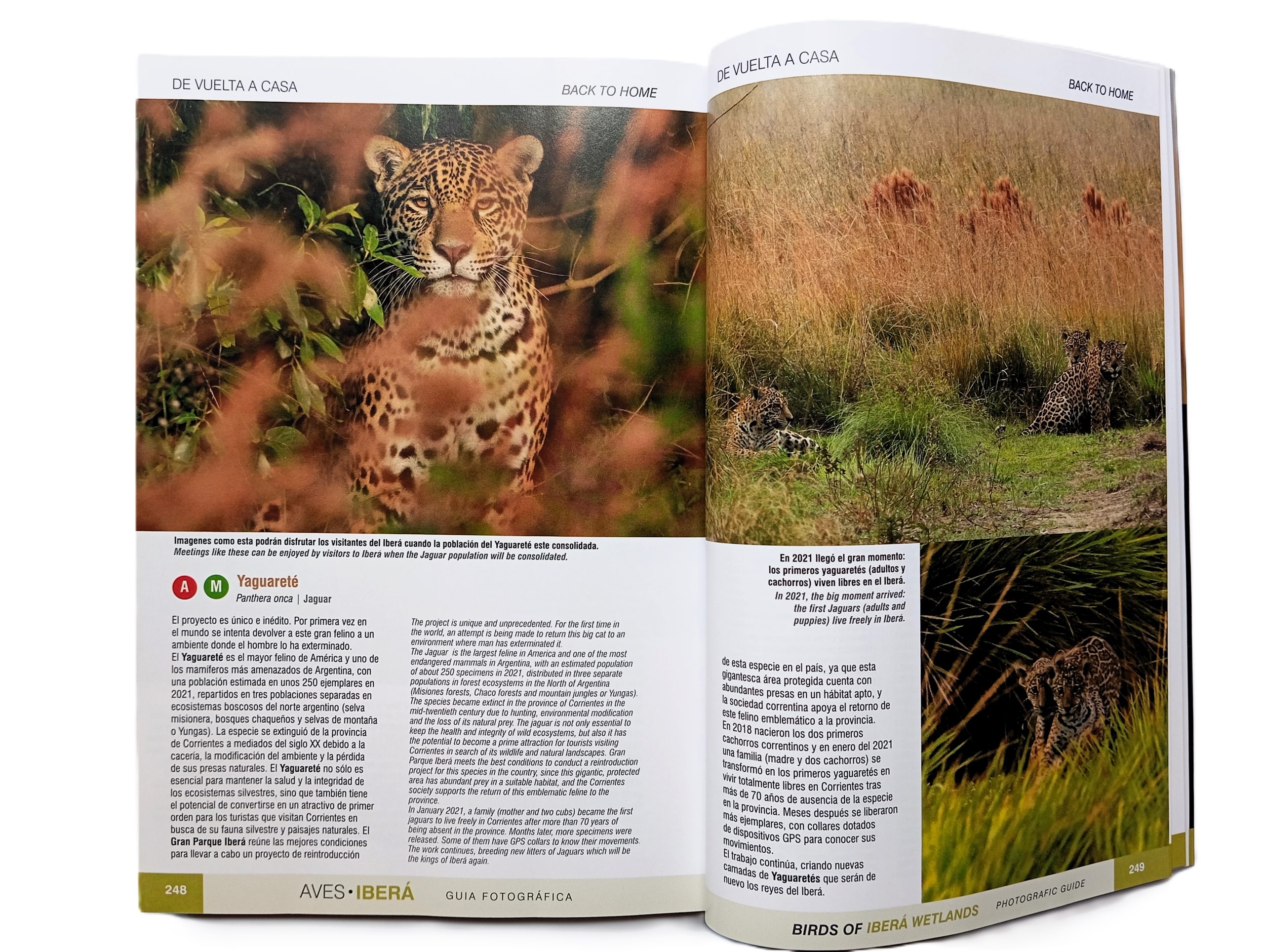 Aves de Iberá (NUEVA EDICION 2022) - Imagen 3